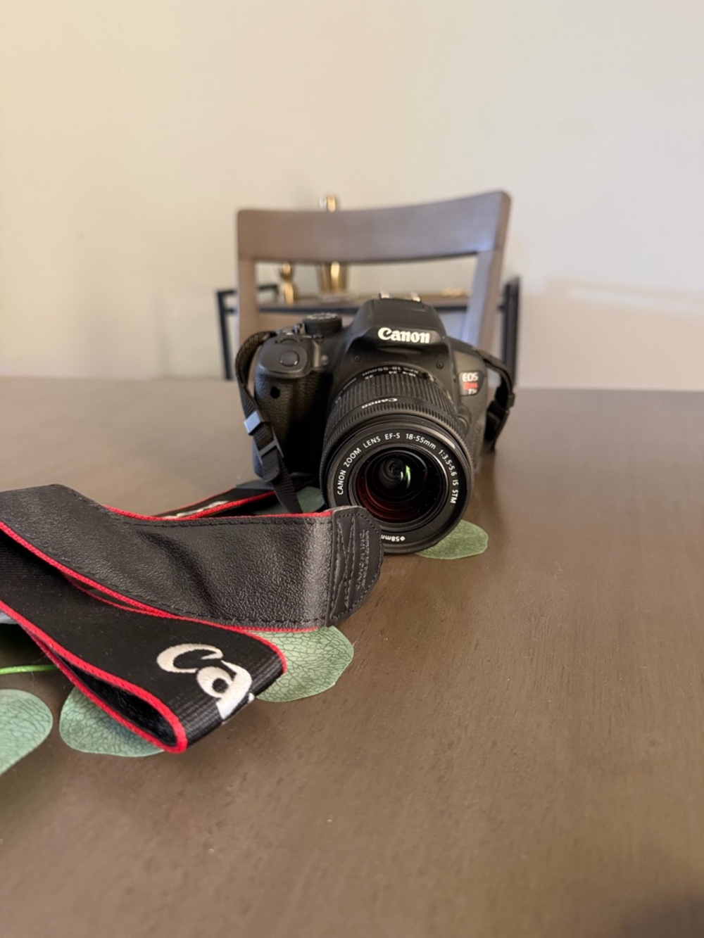 Canon EOS Rebel T5i Camera Bundle with Lens, Bag, Charger, Memory Cards, Remote